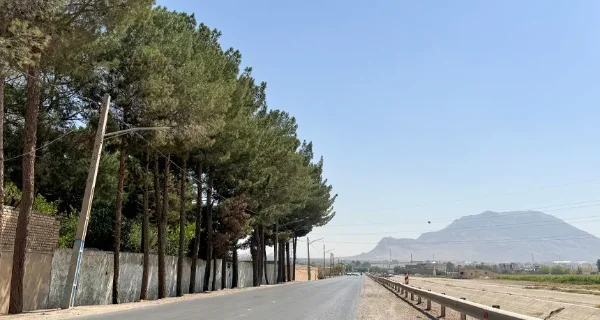 زوان