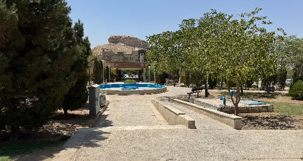 کوی شقایق