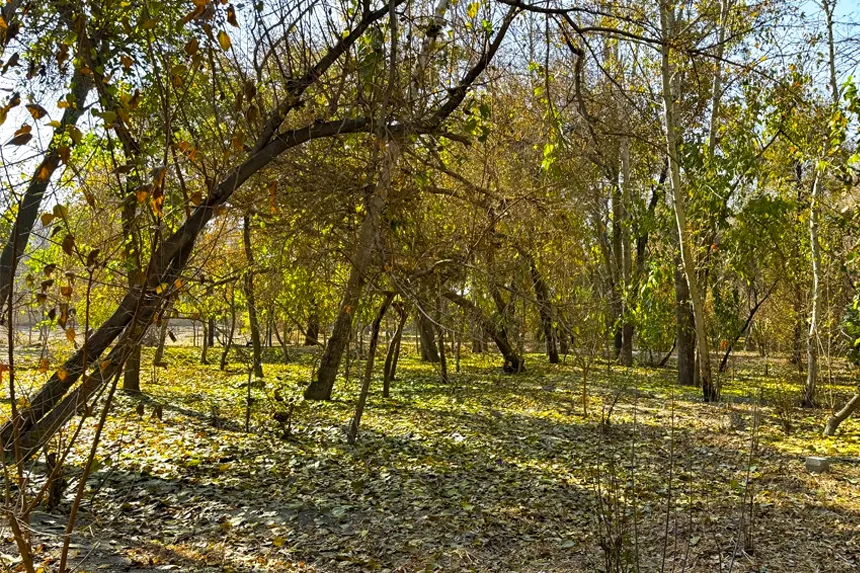 مزایای زندگی در محله فرح آباد
