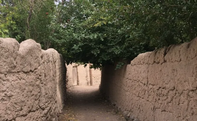 باغ 730 متری روستای کب جوان|خرید باغ| زردنجان اصفهان