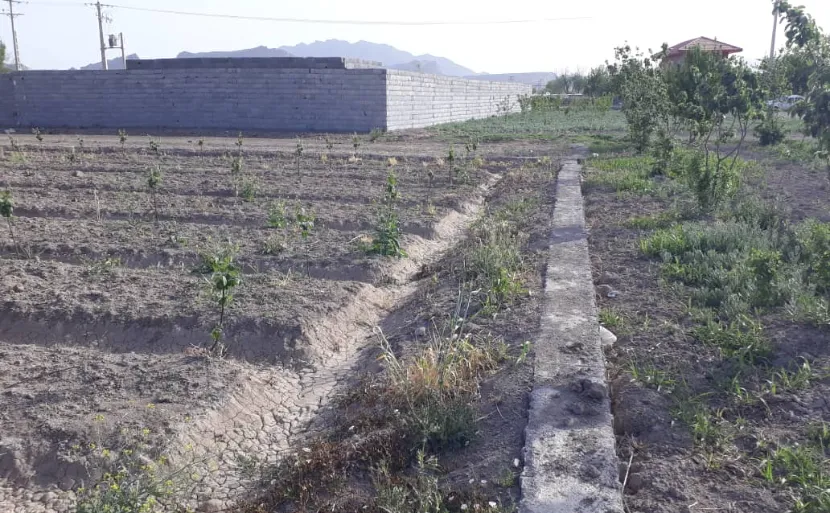 باغ 1000 متری روستای علیشاهدان|خرید باغ|  پیربکران
