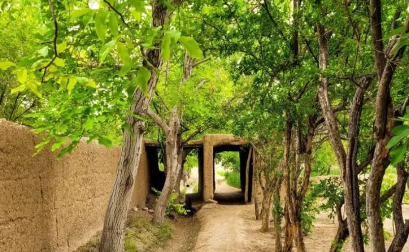باغ 8000 متری روستای مهیار|خرید باغ| مهیار شهرضا