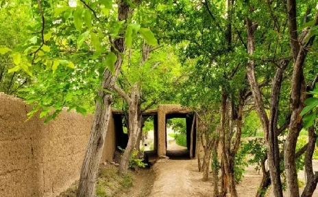 باغ 8000 متری روستای مهیار