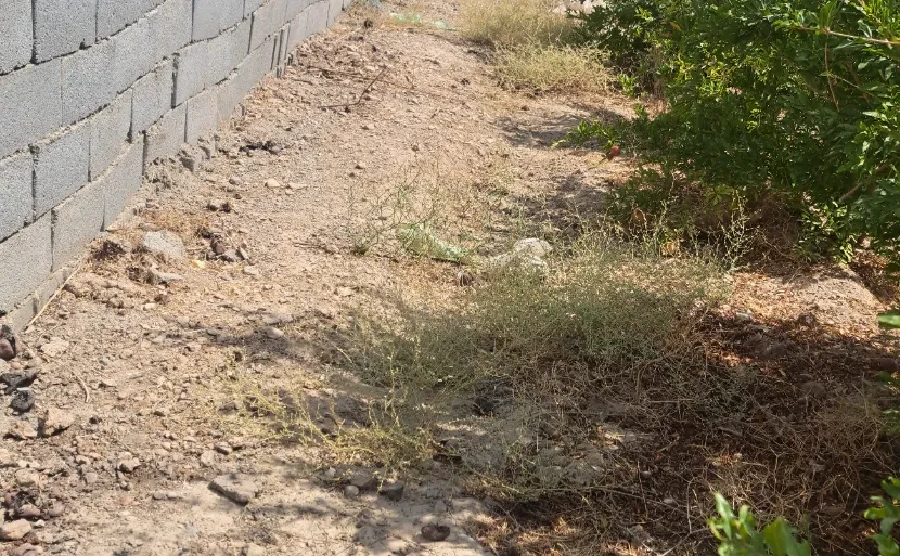باغ 500 متری در قلعه شور بهارستان|خرید باغ| قلعه شور بهارستان