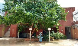 خانه ویلایی 342متری شمالی 3خواب در کوی راه حق