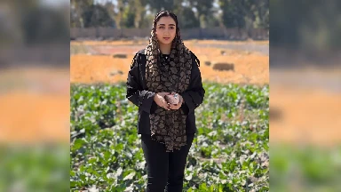 حق ریشه چیست